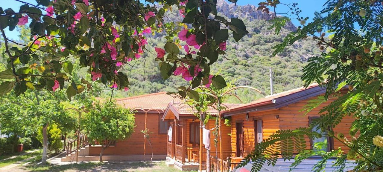 Elly'S Home Mesudiye  Exterior foto
